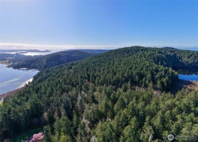 13998 Donnell Rd , Anacortes, WA 98221 - Photo 5