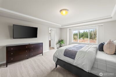 1644 211th Avenue SE, Sammamish, WA 98075 - Photo 17