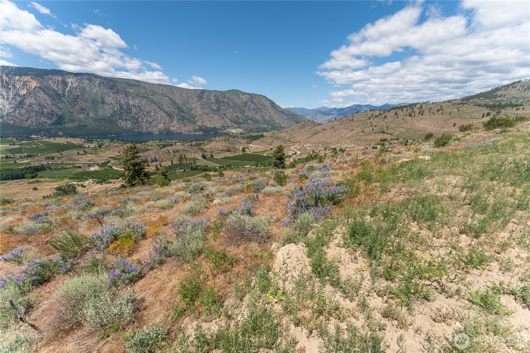 673 Glory View Lane #Lot 1, Manson, WA 98831