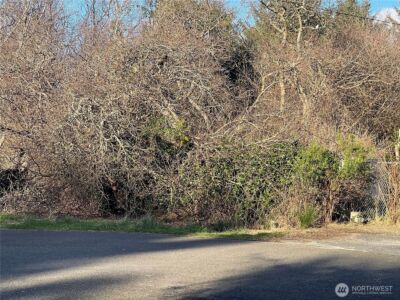 120 Aquila Court SW, Ocean Shores, WA 98569 - Photo 3