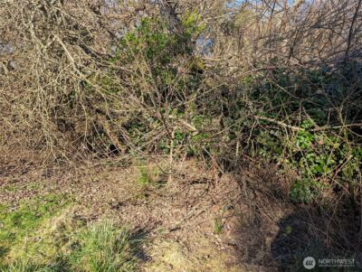 120 Aquila Court SW, Ocean Shores, WA 98569 - Photo 4