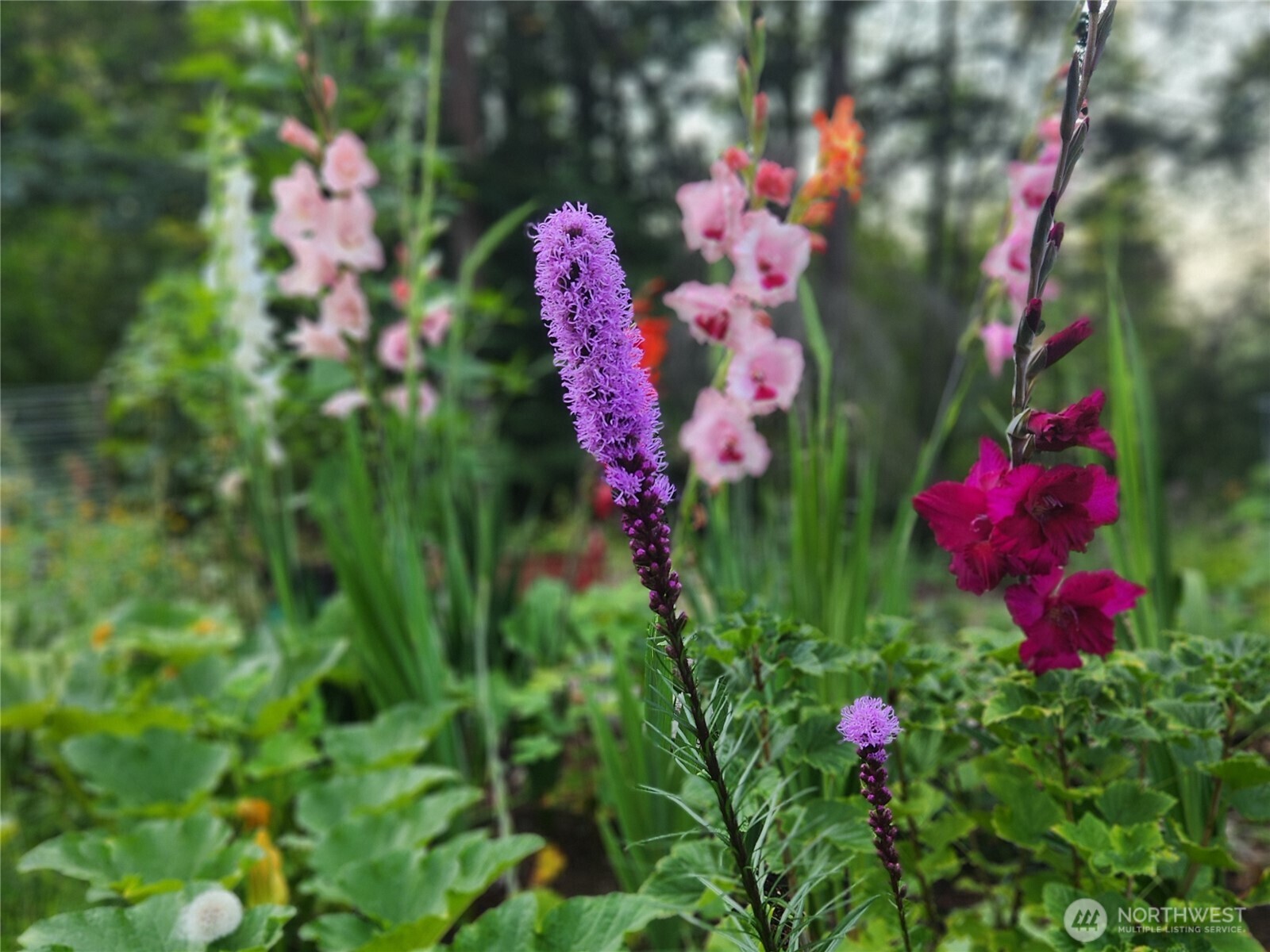 6013 98th Street NW, Marysville, WA 98271-6359