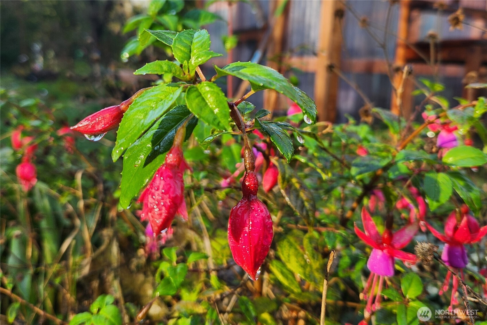 6013 98th Street NW, Marysville, WA 98271-6359