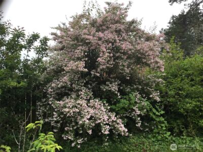 6 Rosemary Lane S, Elma, WA 98541 - Photo 26