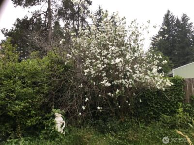 6 Rosemary Lane S, Elma, WA 98541 - Photo 27