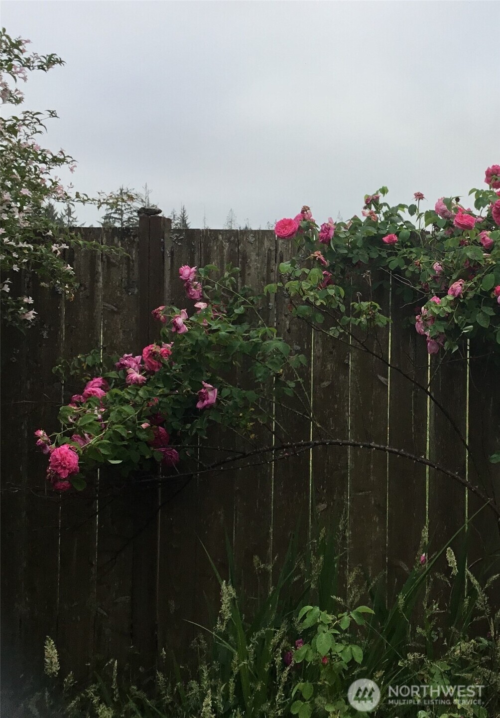 6 Rosemary Lane S, Elma, WA 98541