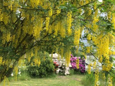 6 Rosemary Lane S, Elma, WA 98541 - Photo 29