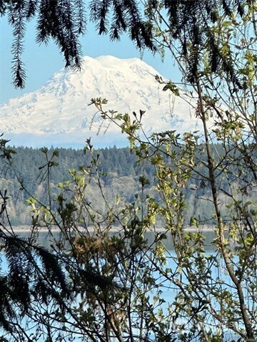 10911 Seaview Drive , Anderson Island, WA 98303