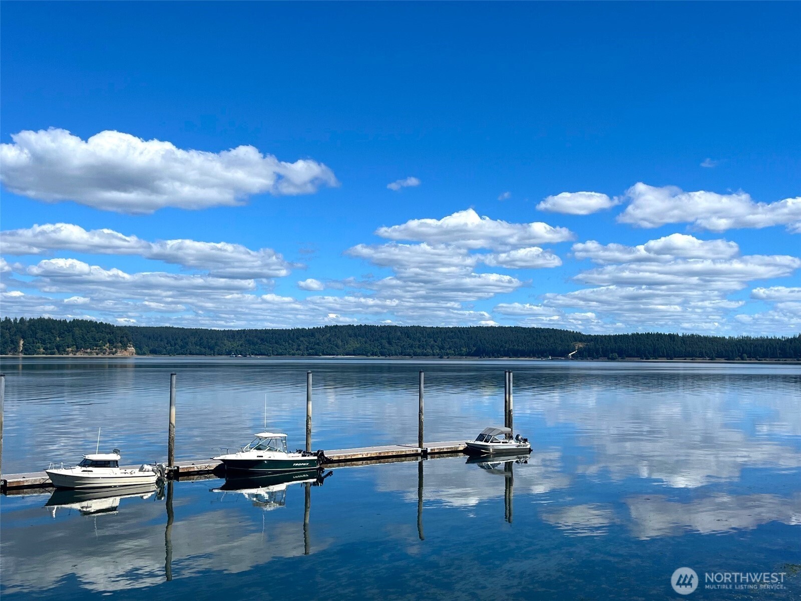 10911 Seaview Drive , Anderson Island, WA 98303
