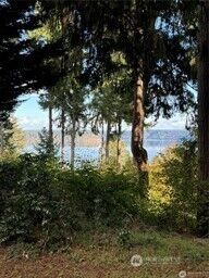 10911 Seaview Drive , Anderson Island, WA 98303 - Photo 3