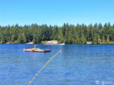 10911 Seaview Drive , Anderson Island, WA 98303 - Photo 6