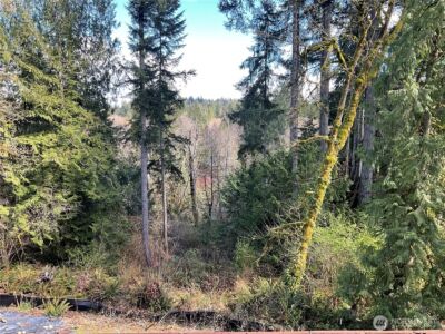 5505 78th Avenue NW, Gig Harbor, WA 98335-6250 - Photo 11