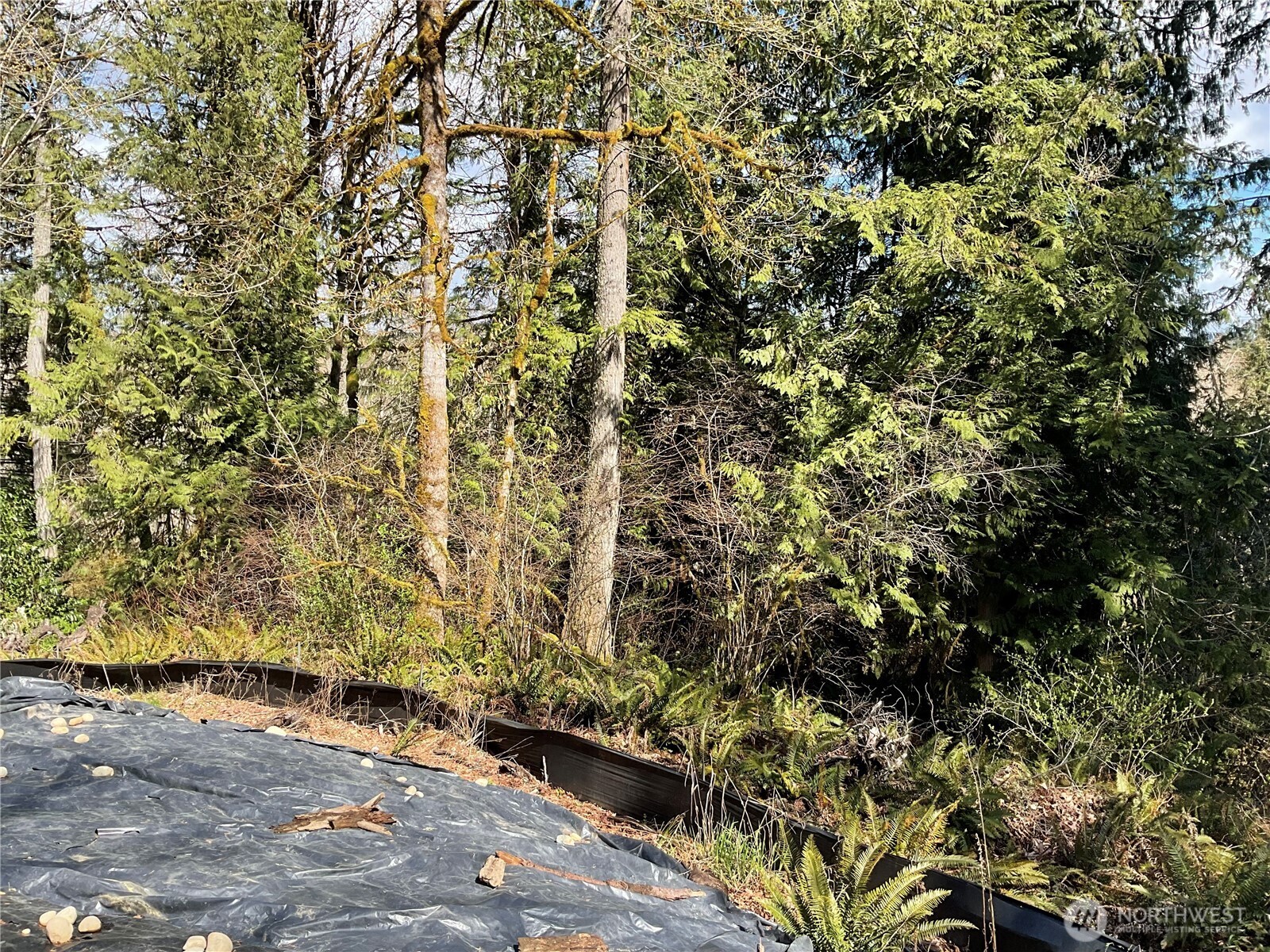 5505 78th Avenue NW, Gig Harbor, WA 98335-6250