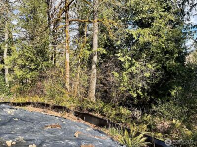 5505 78th Avenue NW, Gig Harbor, WA 98335-6250 - Photo 29