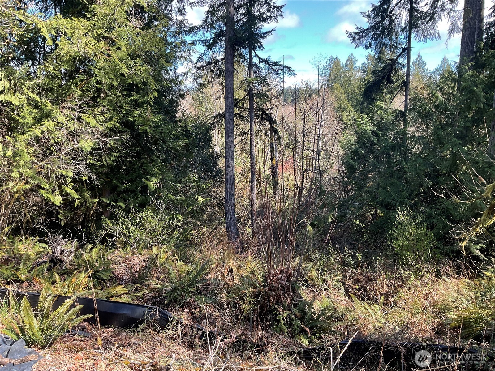 5505 78th Avenue NW, Gig Harbor, WA 98335-6250