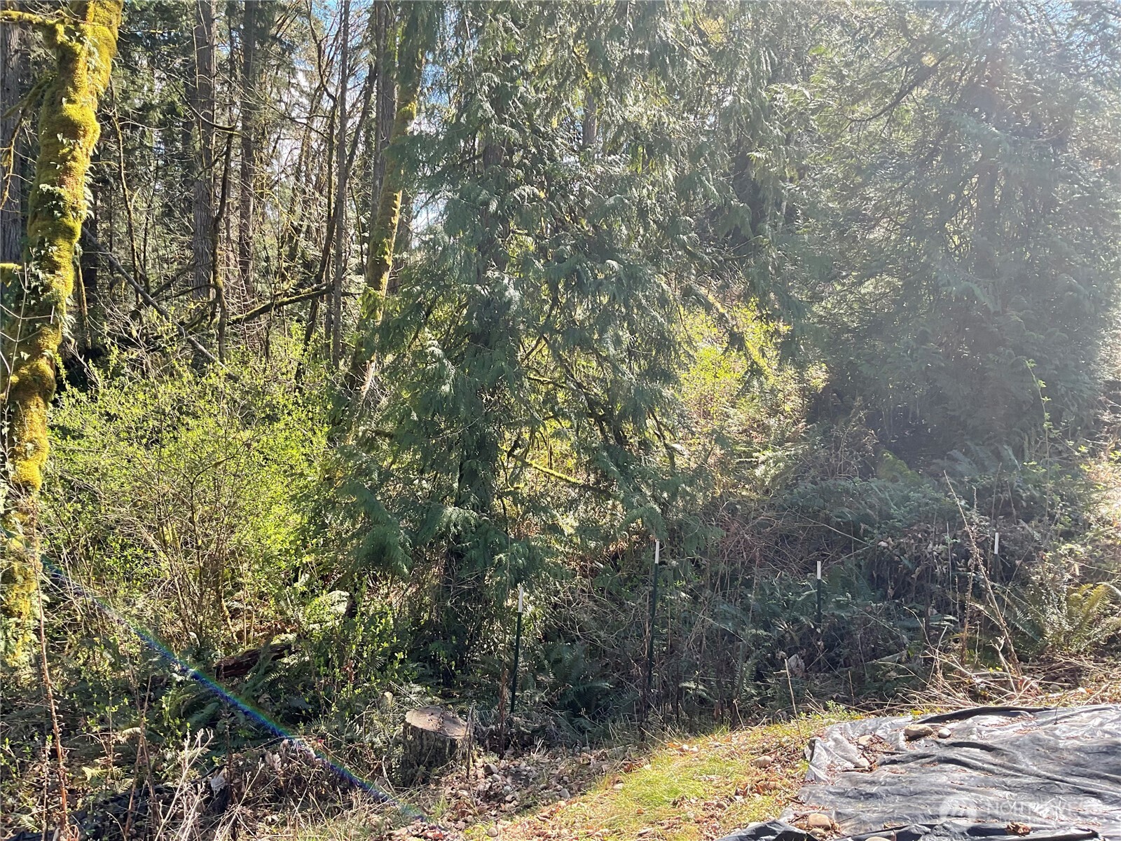 5505 78th Avenue NW, Gig Harbor, WA 98335-6250