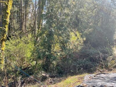 5505 78th Avenue NW, Gig Harbor, WA 98335-6250 - Photo 31