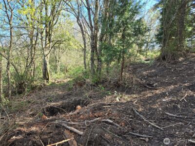 420 Topeka Road , Kelso, WA 98626 - Photo 11