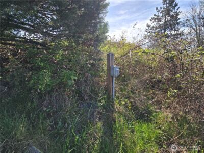 420 Topeka Road , Kelso, WA 98626 - Photo 14