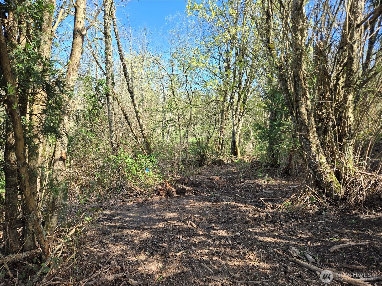 420 Topeka Road , Kelso, WA 98626