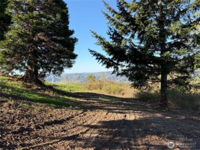 420 Topeka Road , Kelso, WA 98626 - Photo 10