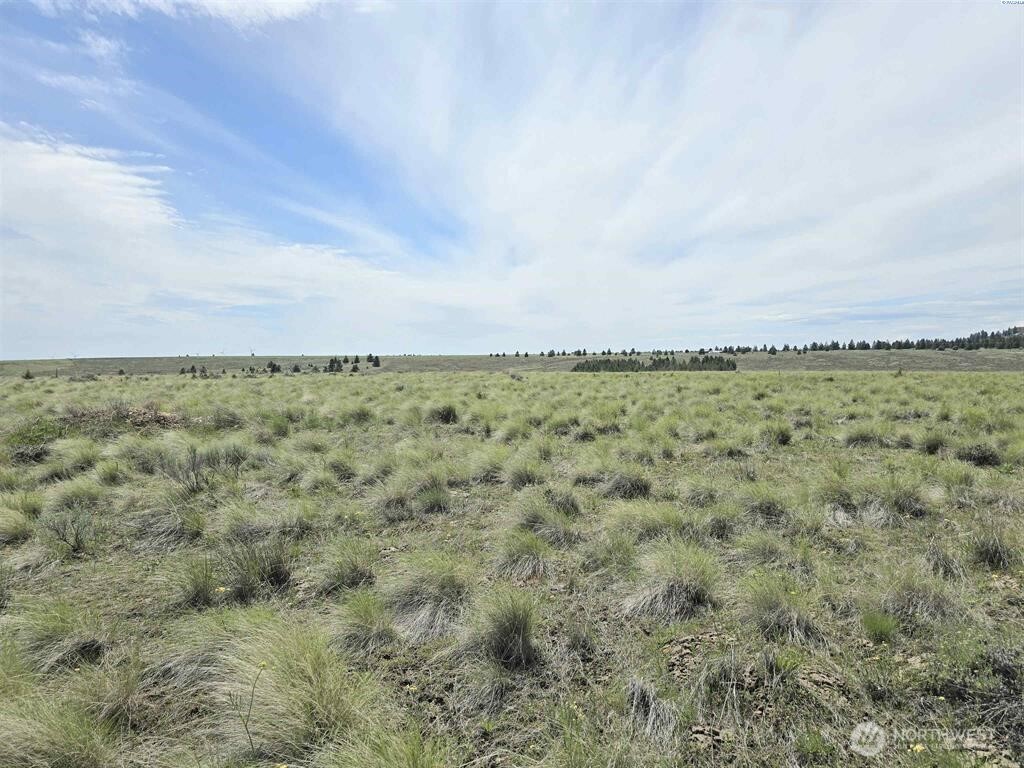 54 Duree Rd , Bickleton, WA 99322