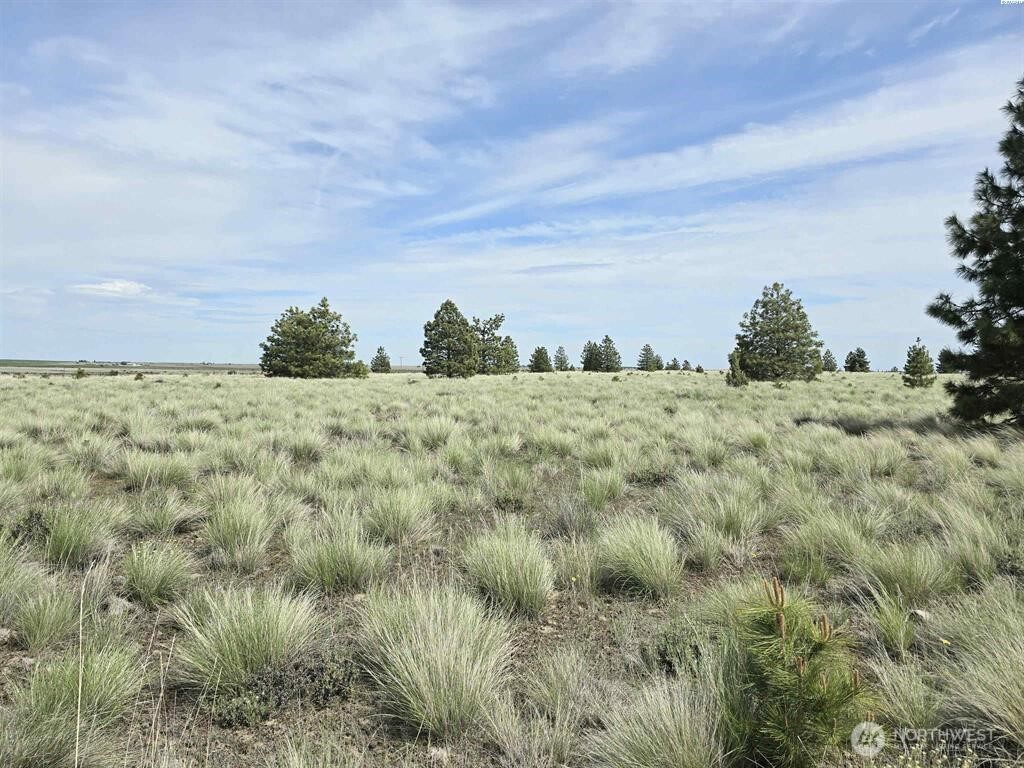 54 Duree Rd , Bickleton, WA 99322