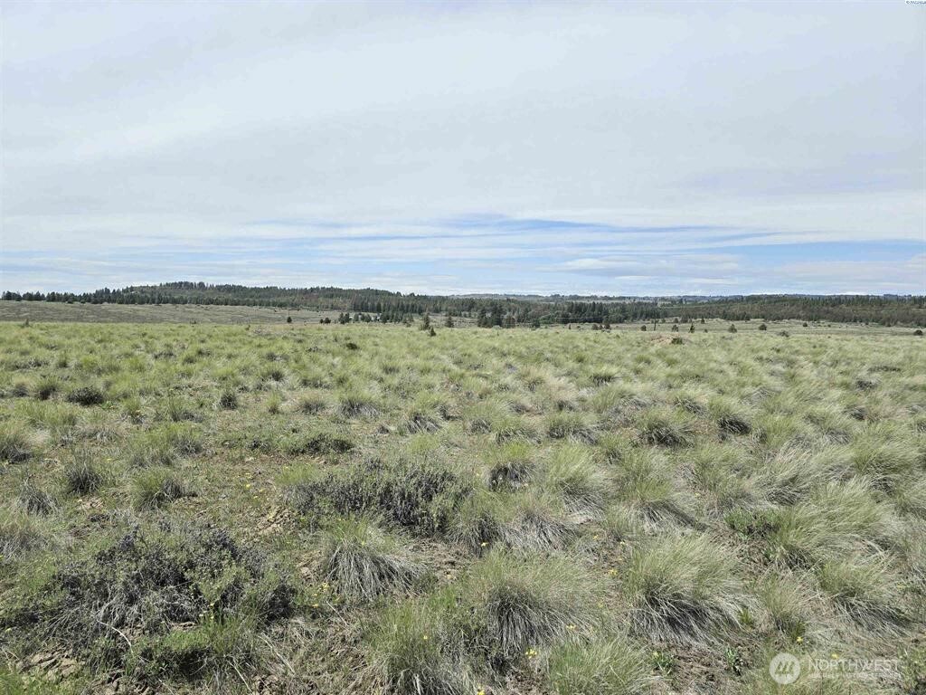 54 Duree Rd , Bickleton, WA 99322