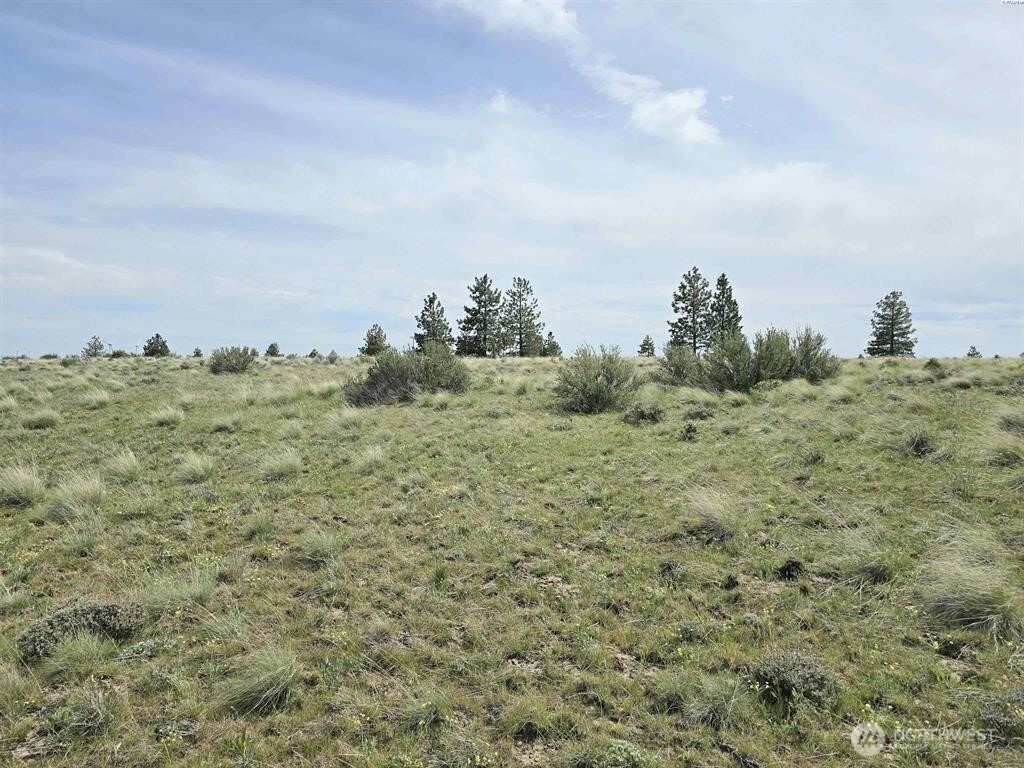 54 Duree Rd , Bickleton, WA 99322