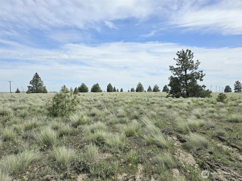 54 Duree Rd , Bickleton, WA 99322