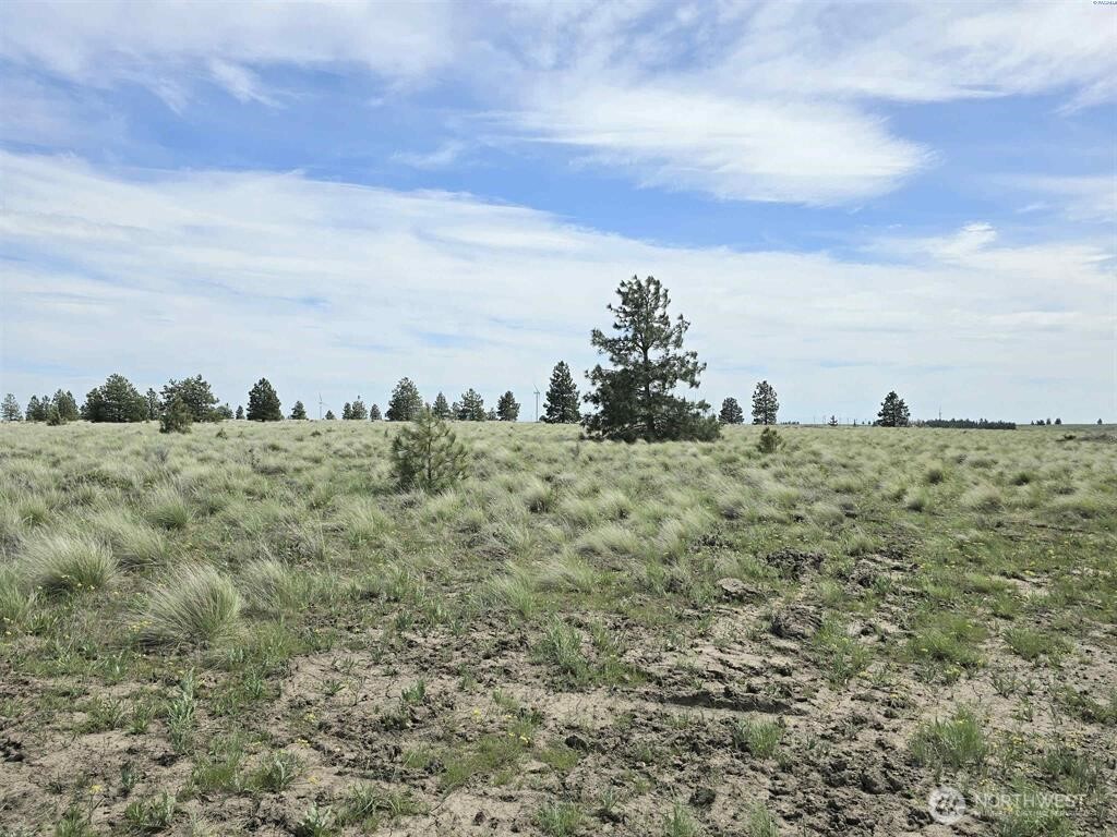 54 Duree Rd , Bickleton, WA 99322