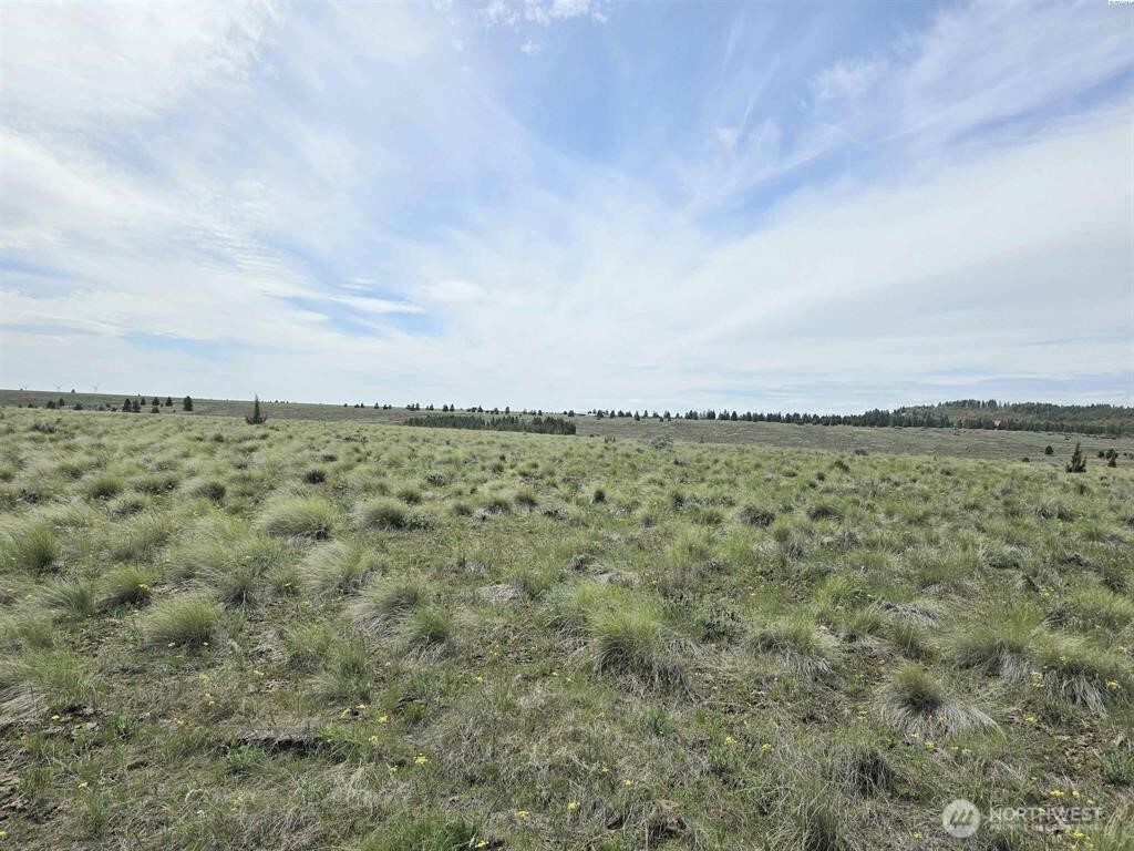 54 Duree Rd , Bickleton, WA 99322