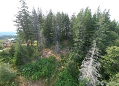 50113 146th Avenue E, Eatonville, WA 98328 - Photo 1