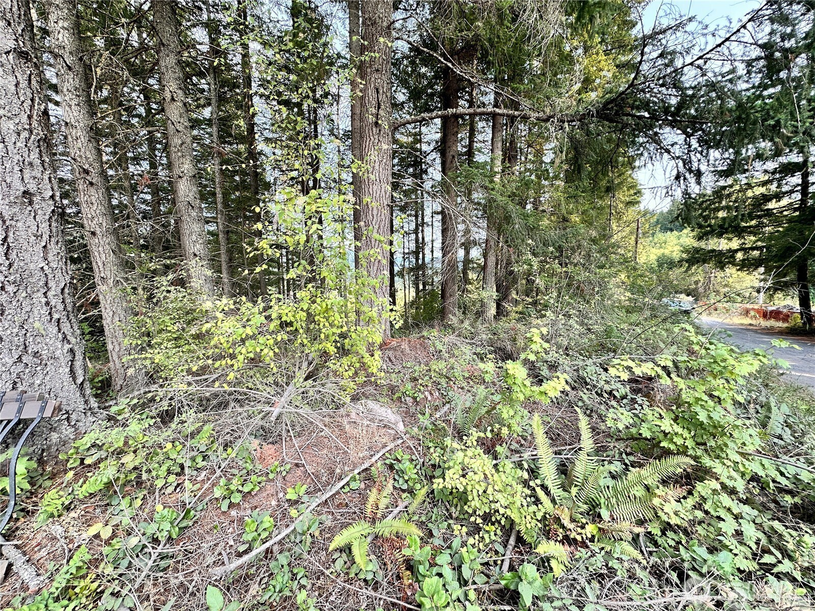 50113 146th Avenue E, Eatonville, WA 98328