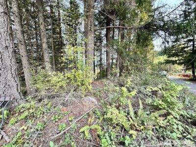 50113 146th Avenue E, Eatonville, WA 98328 - Photo 8