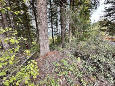 50113 146th Avenue E, Eatonville, WA 98328 - Photo 9