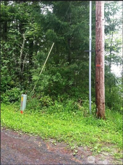 50113 146th Avenue E, Eatonville, WA 98328 - Photo 2