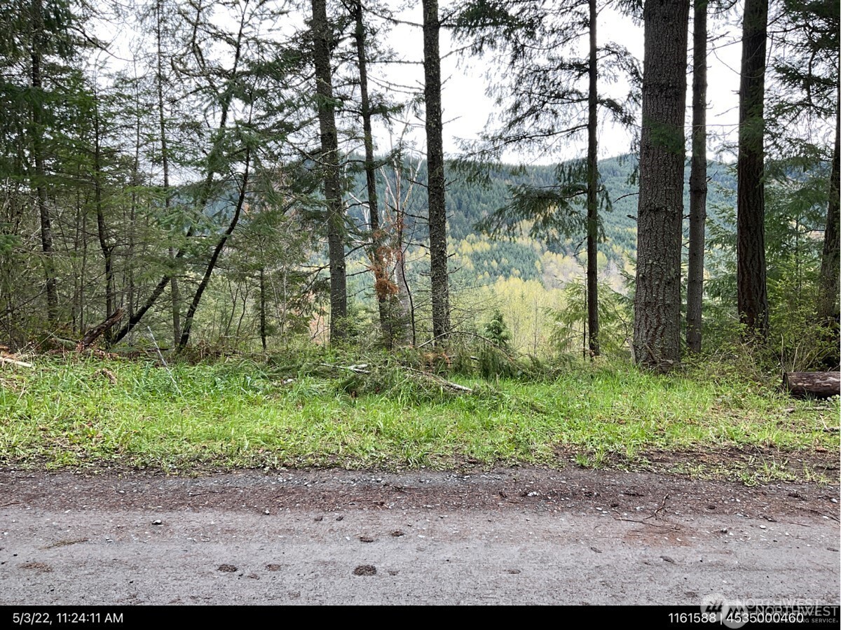 50113 146th Avenue E, Eatonville, WA 98328