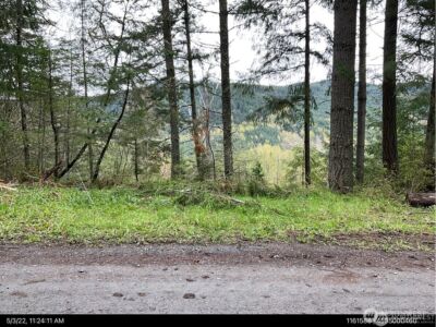 50113 146th Avenue E, Eatonville, WA 98328 - Photo 3