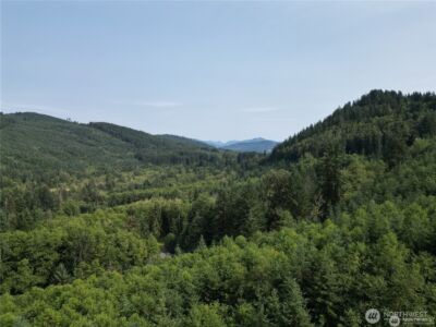 50113 146th Avenue E, Eatonville, WA 98328 - Photo 4