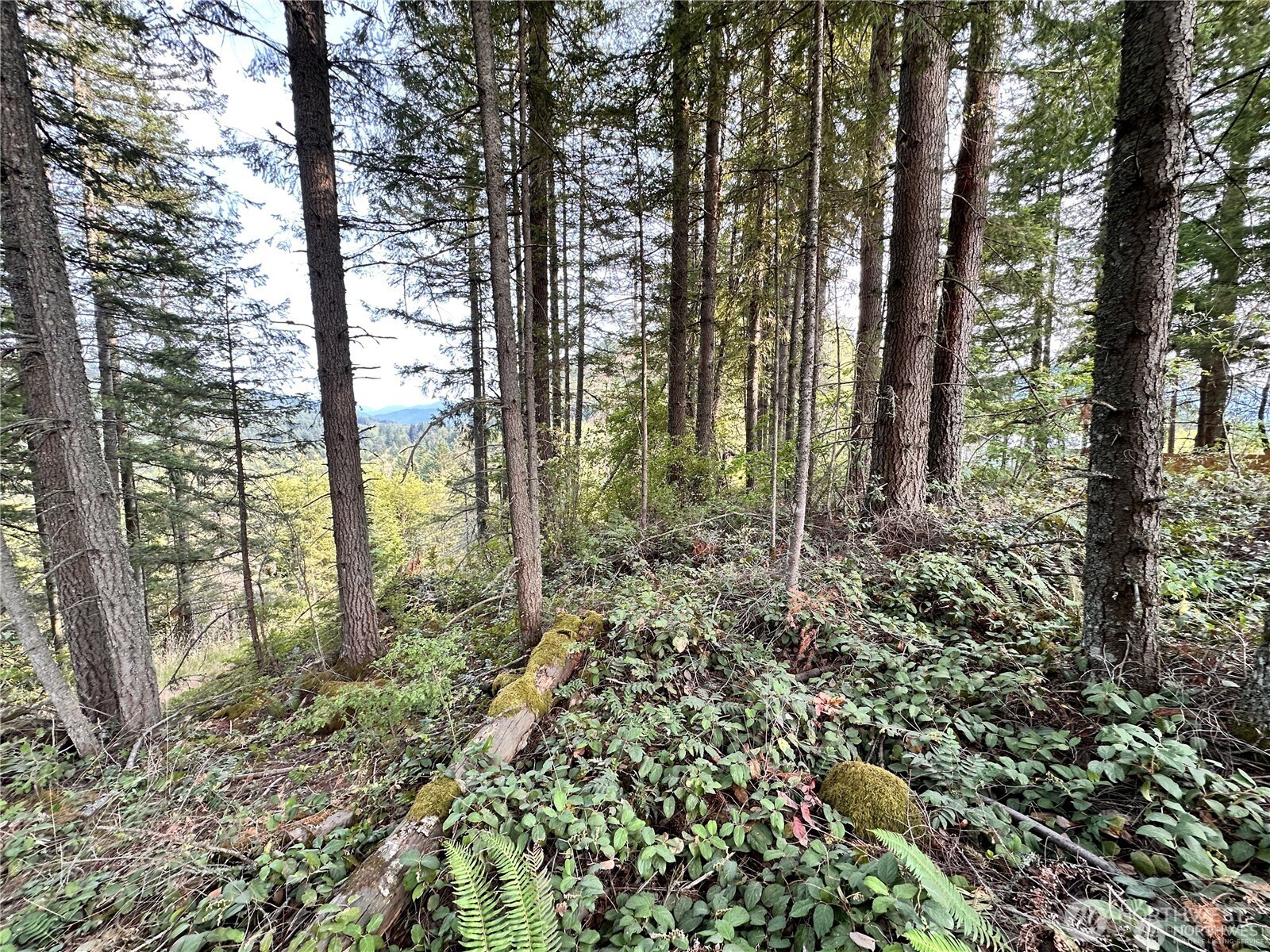 50113 146th Avenue E, Eatonville, WA 98328