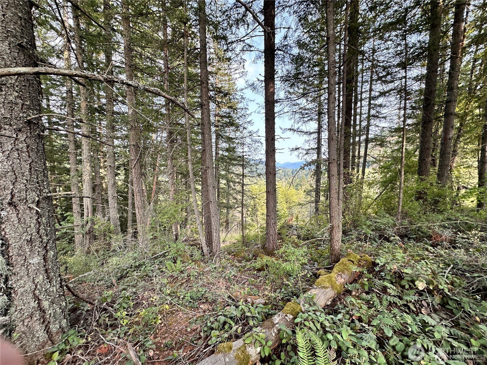 50113 146th Avenue E, Eatonville, WA 98328