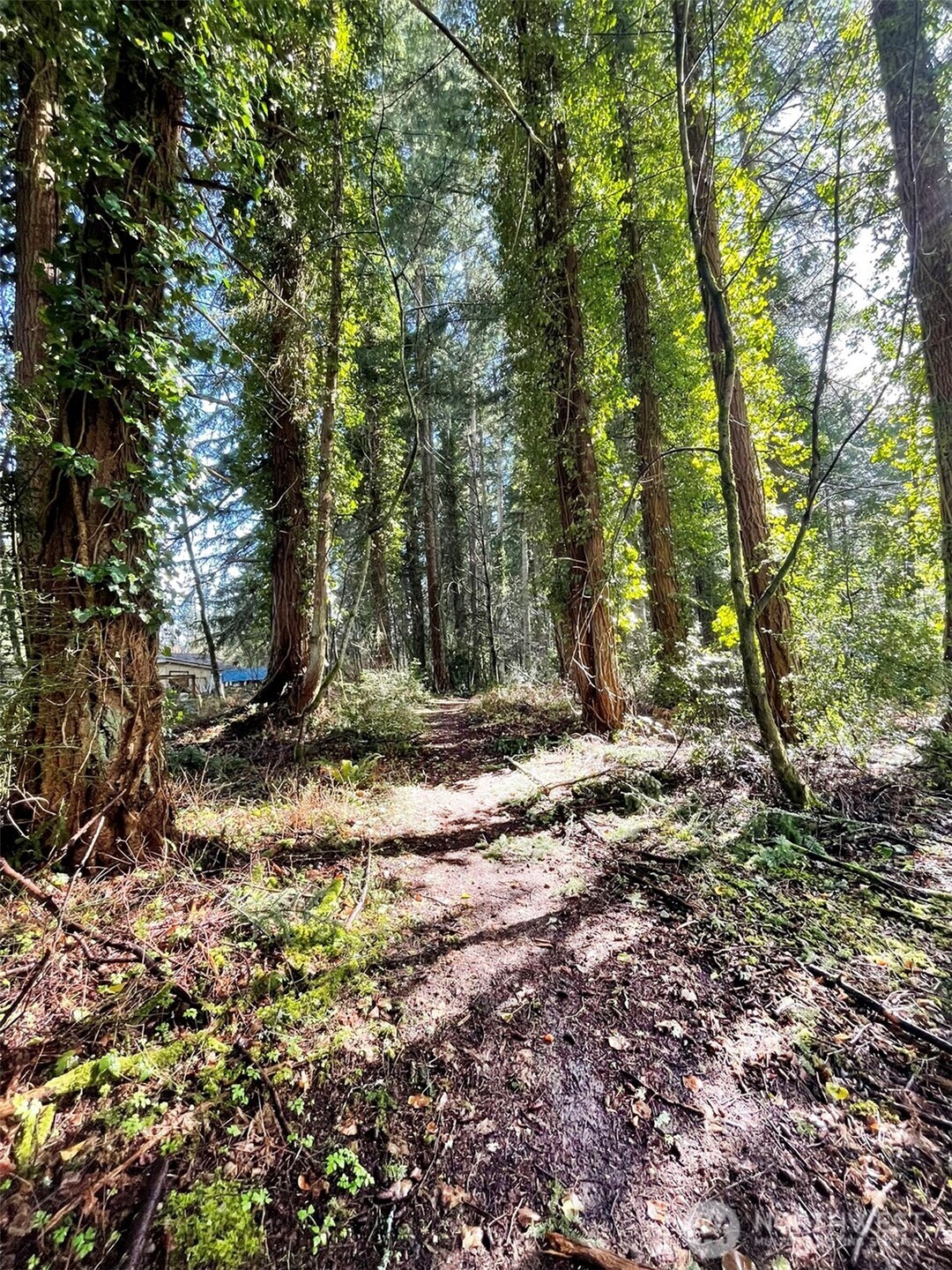 9221 SW Bank Road , Vashon, WA 98070
