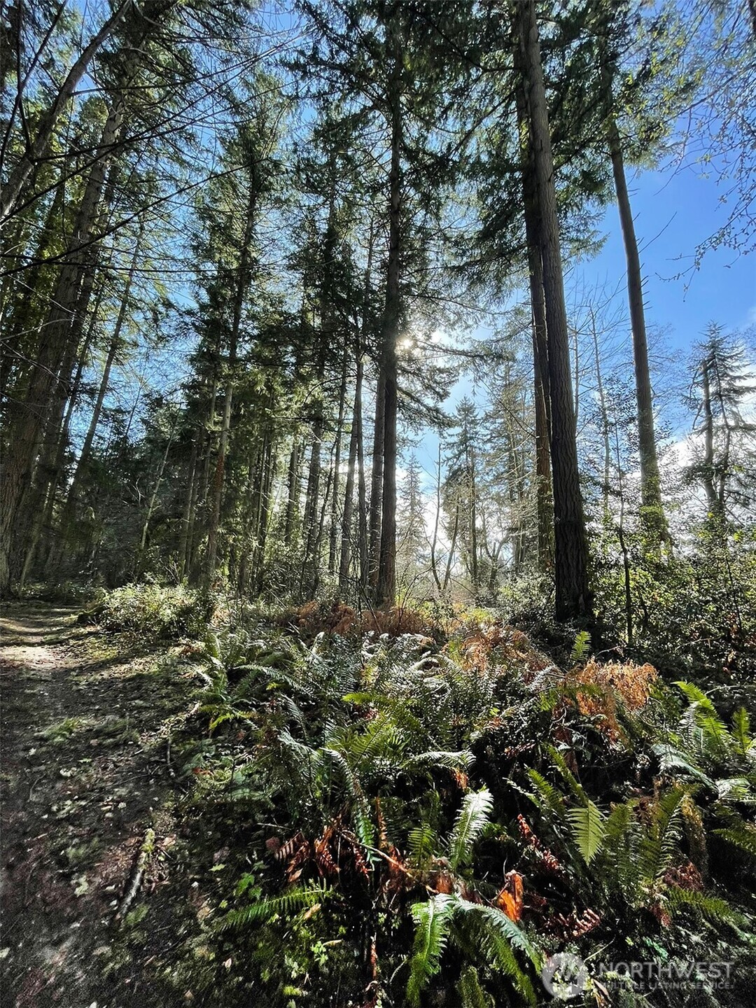 9221 SW Bank Road , Vashon, WA 98070