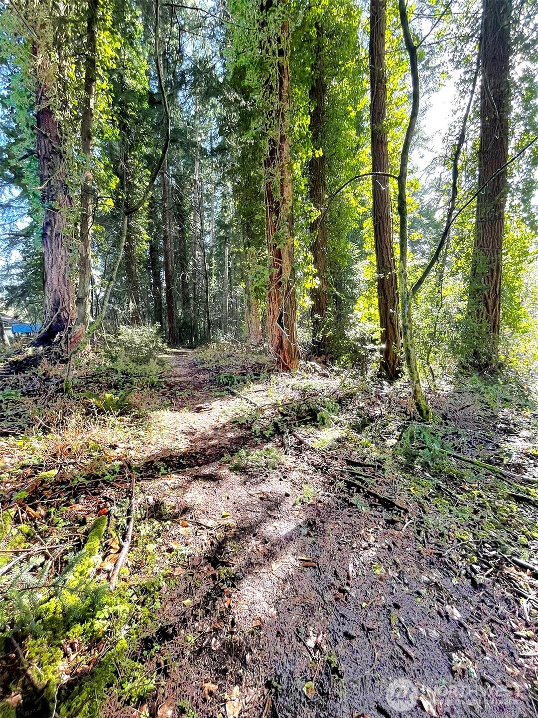 9221 SW Bank Road , Vashon, WA 98070
