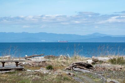 2390 Place Road , Port Angeles, WA 98363 - Photo 34