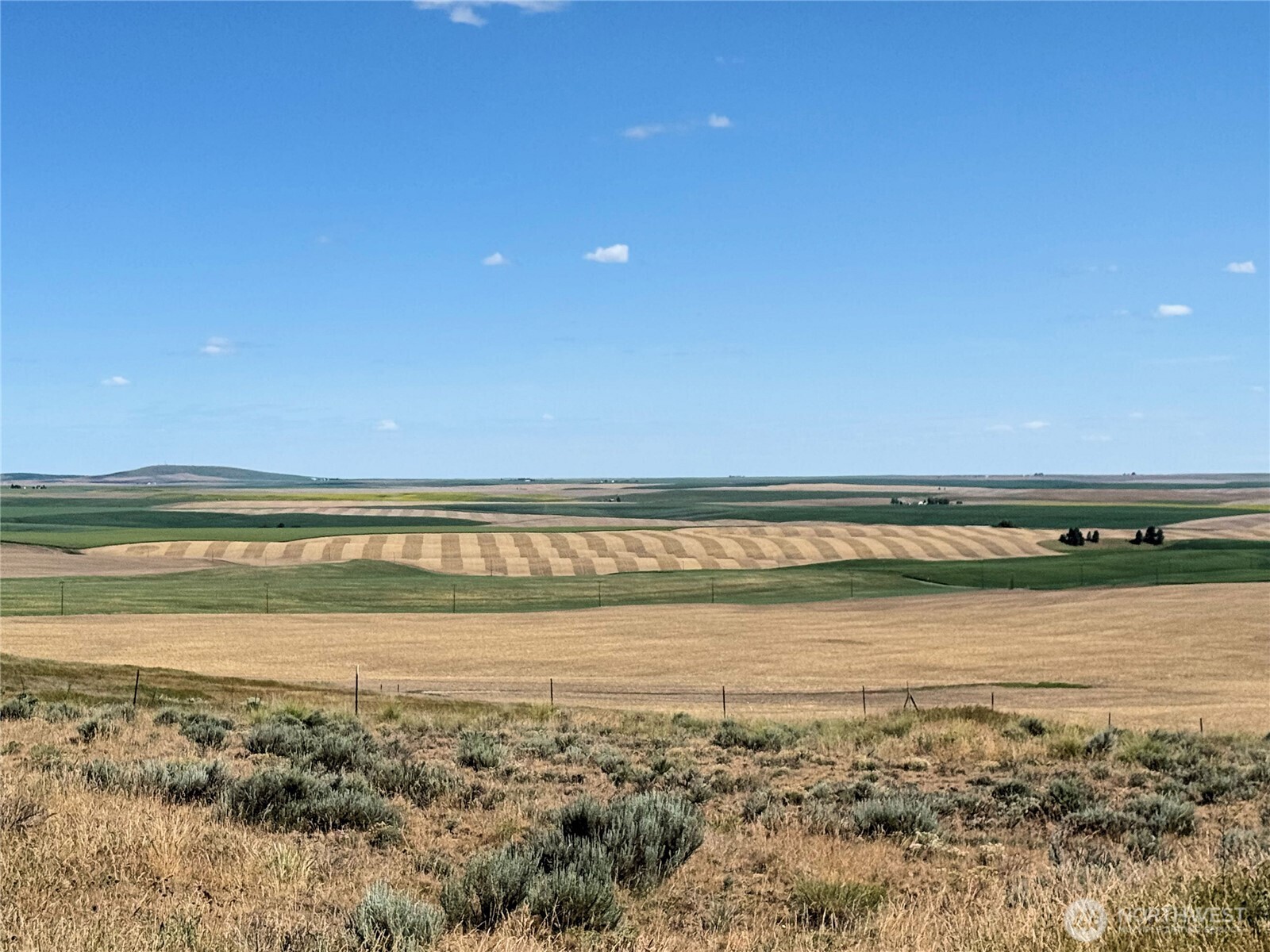 39500 SR 21 N, Wilbur, WA 99185