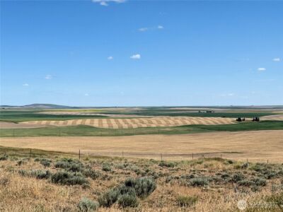 39500 SR 21 N, Wilbur, WA 99185 - Photo 19
