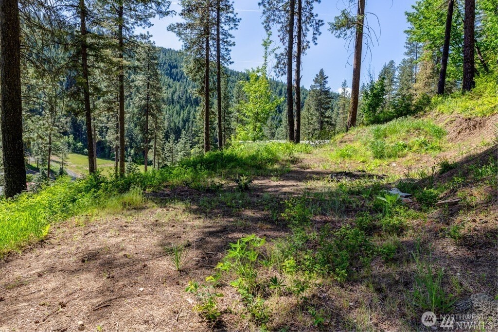 11200 Eagle Creek Road , Leavenworth, WA 98826