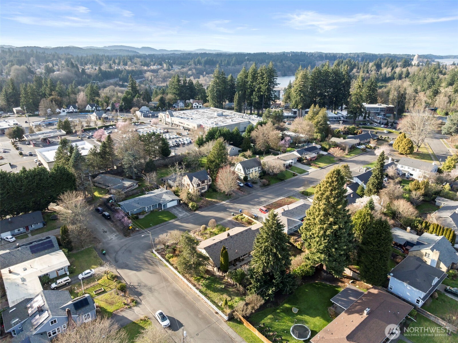 3306 Fairfield Road SE, Tumwater, WA 98501-6102